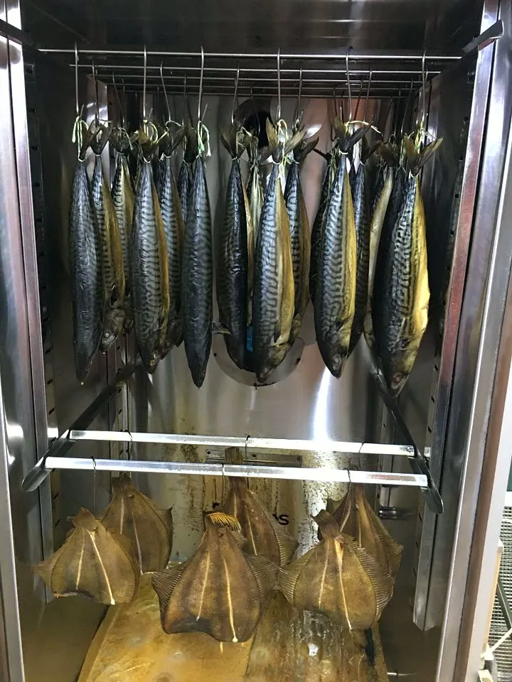 Makrela — wędzenie na gorąco, wędzarnia DREVOS Smoke Chamber 50